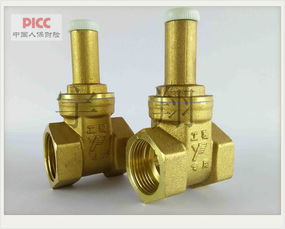 浙江寶水 k137 dn50銅閘閥 玉環(huán)縣寶水閥門(mén)廠